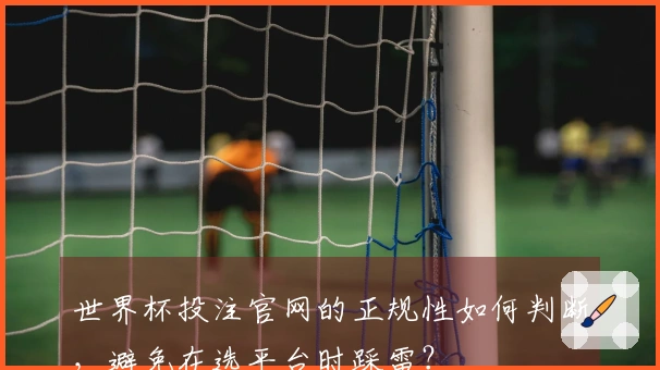 世界杯投注官网的正规性如何判断，避免在选平台时踩雷？